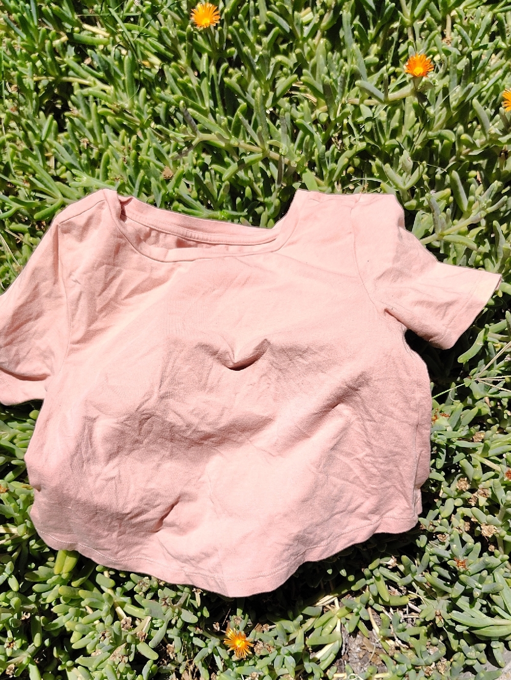 Universal Standard Crop Tee 4XS (Xs-s) Peachy Pink